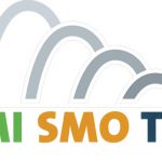 logo_mismotu